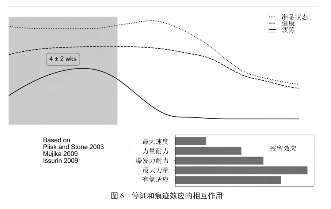 如何在篮球冬令营中加强体能训练?_1
